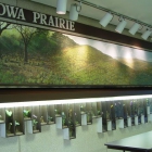 Iowa Prairies