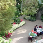 Botanical Center Patio