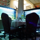Fish tanks and a table at Splash